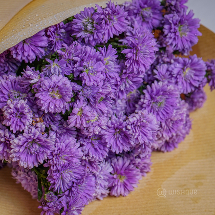 Filling Flower - Blue Micheals Cut Flowers