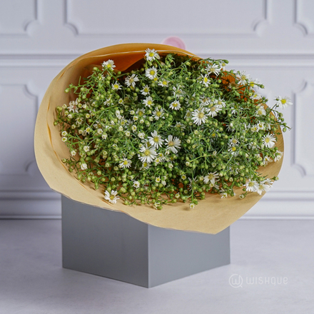 Filling Flower - White Micheals Cut Flowers