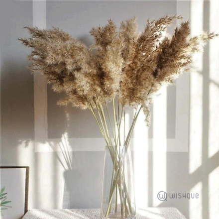 Filling Flower - Pampas Grass Cut Flowers