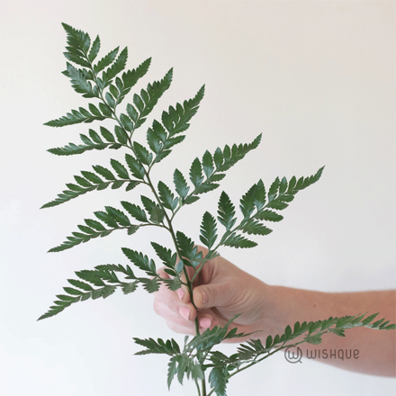 Filler Leave - Leather Fern Cut Leaves