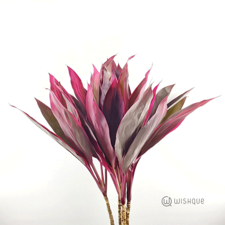 Filler Leave - Cordyline Cut Leaves