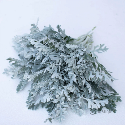 Filler Leaves - Silver Dust Cut Leaves