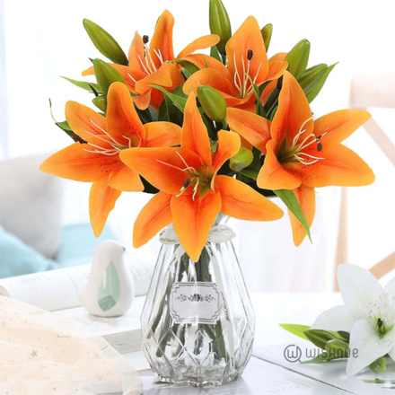Tiger Lily ( Orange )