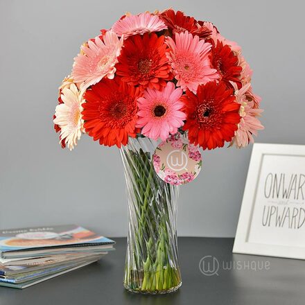 Shade Of Love Gerberas Vase Copy