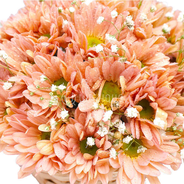 Posy Basket Wishque Sri Lanka's Premium Online Shop! Send Gifts to