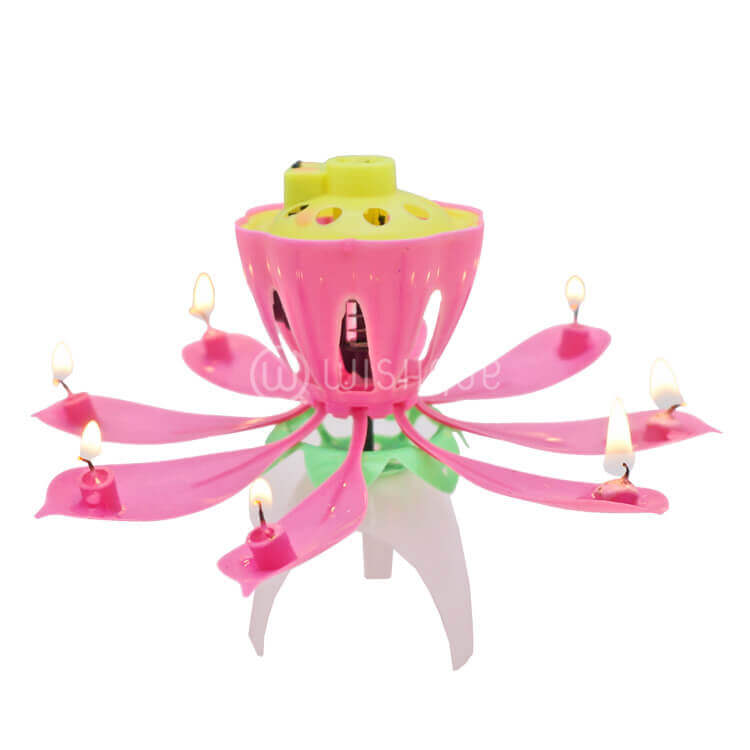 Sparkling Musical Flower Candle Wishque Sri Lanka's Premium Online