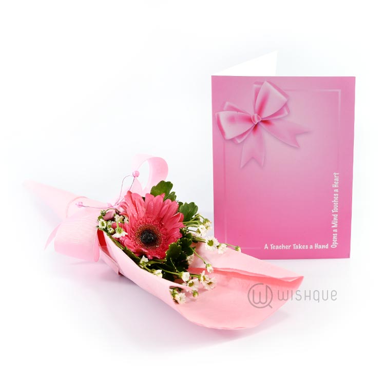 Wishque Sri Lanka's Premium Online Shop! Send Gifts to Sri Lanka