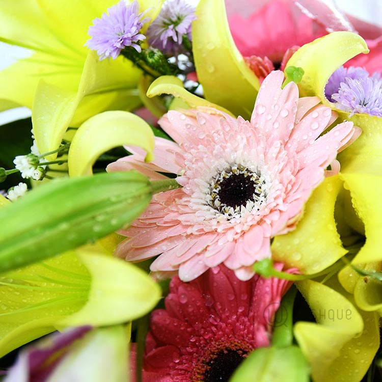 Exotic Blooms Wishque Sri Lanka's Premium Online Shop! Send Gifts