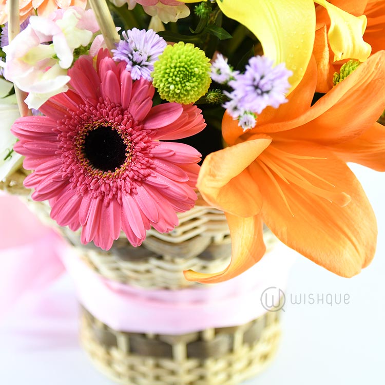 Flowers in a Rainbow Lily Bucket - Wishque | Sri Lanka's Premium Online ...