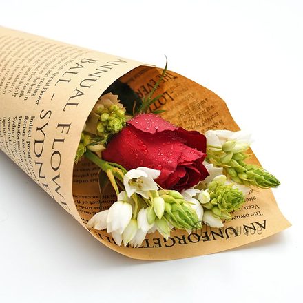 My Shooting Star Red Rose