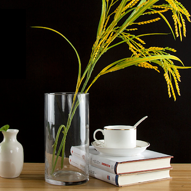 Cylinder Glass Vase 20 cm Wishque Sri Lanka's Premium Online Shop