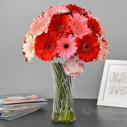 Shade Of Love Gerberas Vase