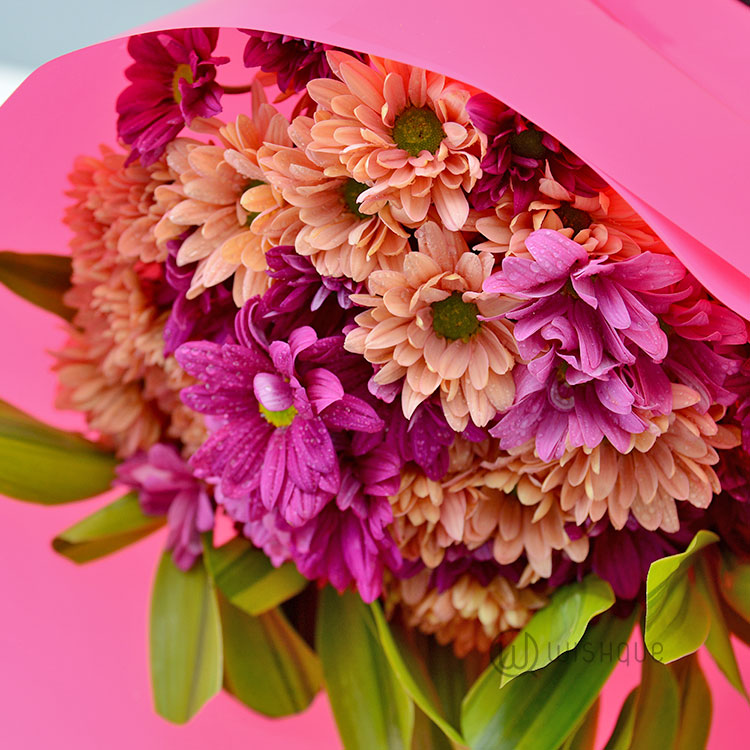 Daisy Dream Flower Bouquet Wishque Sri Lanka's Premium Online Shop