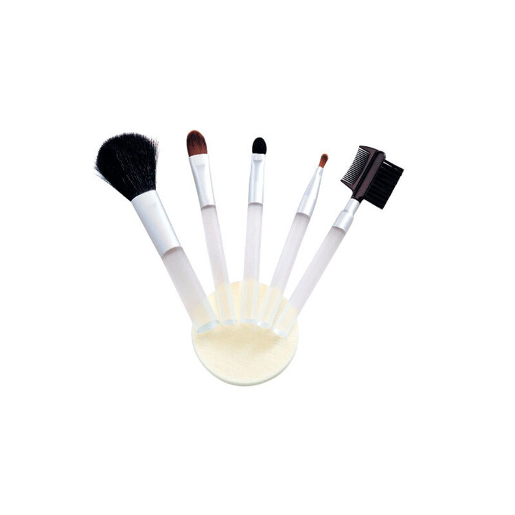 Basicare Cosmetic Tool Kit 5 Cosmetic Brushes & Foundation Sponge